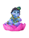 Little krishna lotus